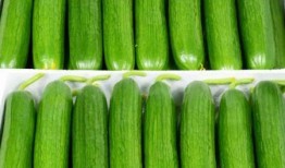 山东吃生瓜的网红是谁,挑战味蕾极限的美食探险者